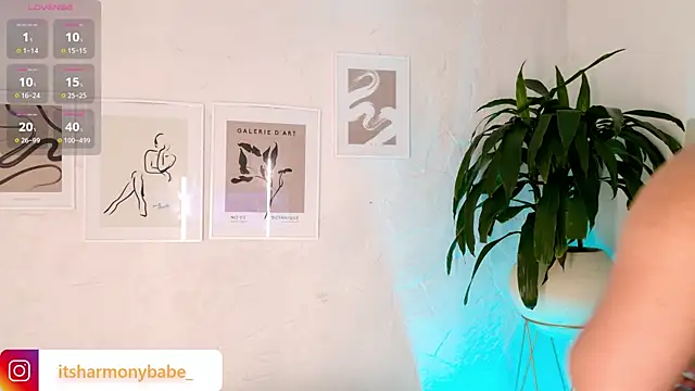 Harmonybabe  online show from 8, 11, 2025