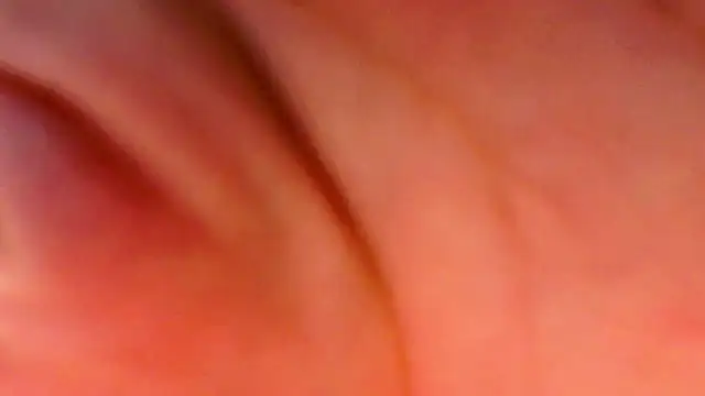 Snapshot of GattonaBiondona chatting on 3, 12, 2025 GattonaBiondona online show from 3, 12, 2025