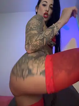 TigrezaSC online show from 27, 11, 2025