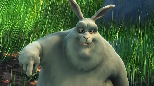 streamy test12 online show from 14, 10, 2025