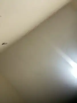 Malandralle online show from 21, 2, 2026