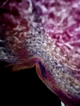 morenogts69 online show from 24, 10, 2025