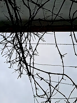 SexyNicool35 online show from 9, 4, 2026