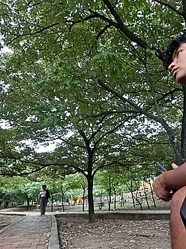  Ottis  online show from 19, 3, 2026