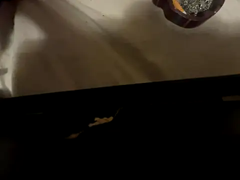 FreakNastyLacie online show from 16, 12, 2025