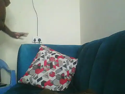 Snapshot of Heavy_ass chatting on 16, 3, 2025 Heavy ass online show from 16, 3, 2025
