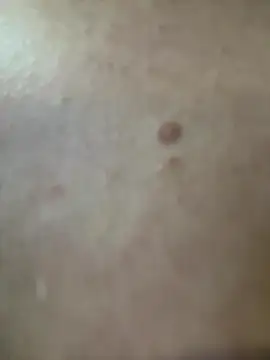 saracaball  online show from 6, 11, 2025