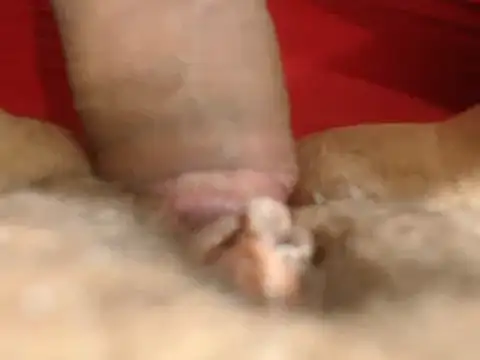 lolamike19 online show from 18, 11, 2025