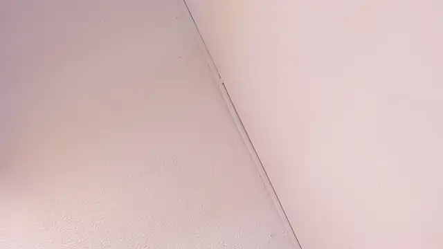 Black Rose2 online show from 1, 3, 2026