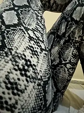 dinaa-18 online show from 12, 11, 2025