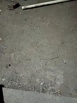 PapiMexFlaco online show from 24, 4, 2026