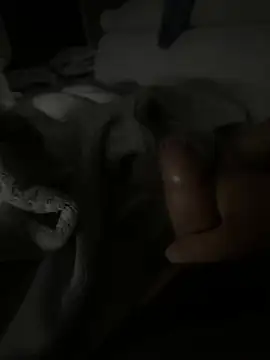 MateoKimiBi online show from 12, 3, 2026