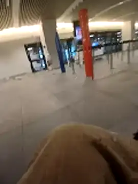 Denisilboss online show from 24, 2, 2026