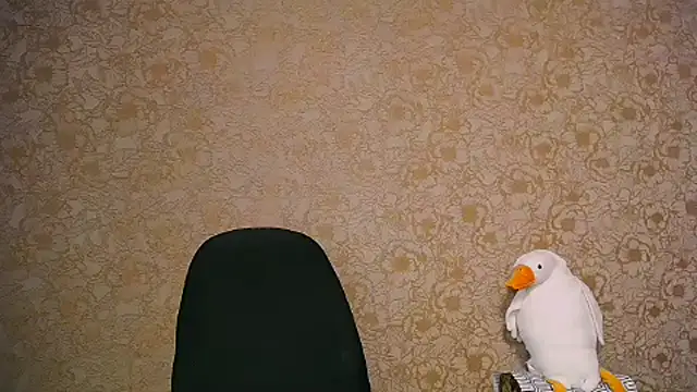  your fantasy girl online show from 27, 2, 2025