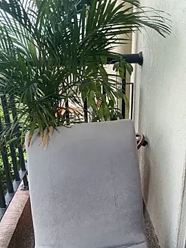 Pretty Isadora online show from 4, 3, 2026