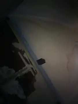 joeycbigcock online show from 9, 4, 2026