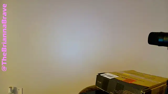 BriannaBrave online show from 11, 2, 2026