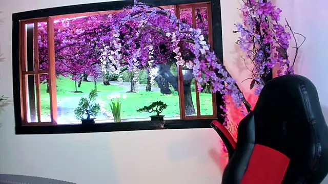 Susan DiSantys online show from 31, 1, 2025