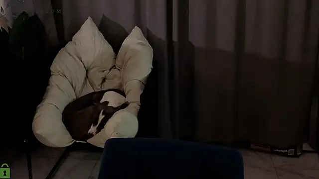 Eva Natsumi online show from 14, 1, 2026