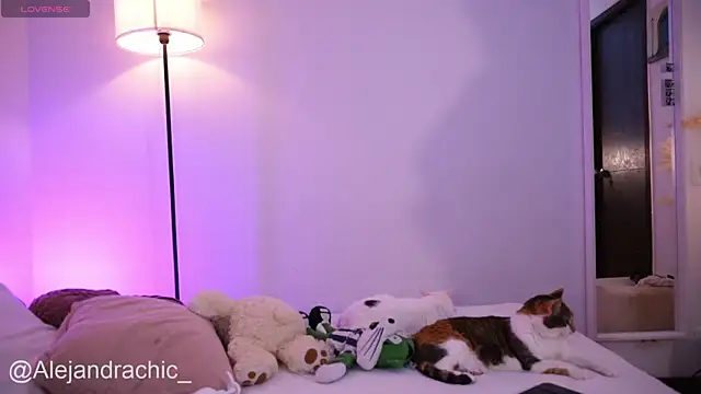 amelie leigh online show from 13, 4, 2026