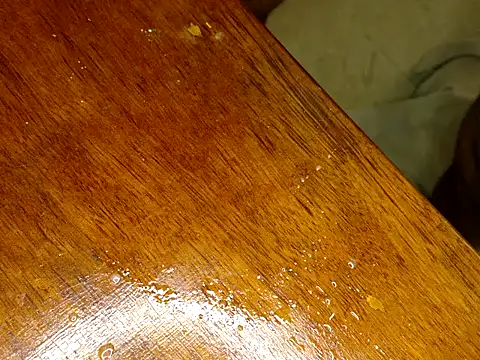 Snapshot of KingCobraClassy chatting on 12, 2, 2026 KingCobraClassy online show from 12, 2, 2026