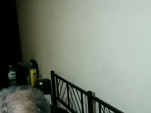 100Tauros online show from 15, 2, 2026