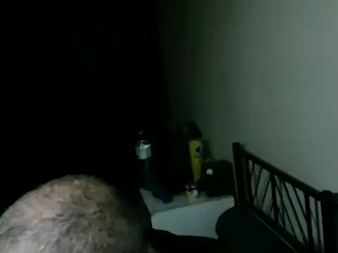 100Tauros online show from 26, 3, 2026