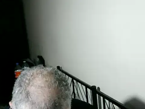 100Tauros online show from 11, 2, 2026