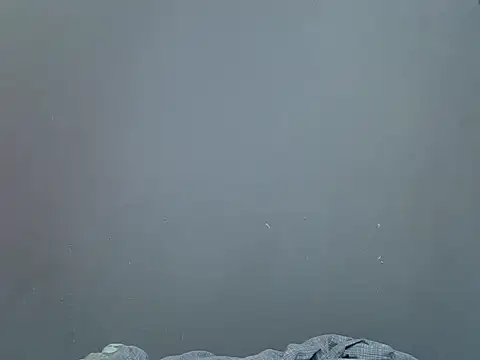 Hot Caro online show from 26, 12, 2024