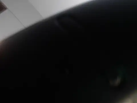 judy the booty online show from 6, 3, 2025