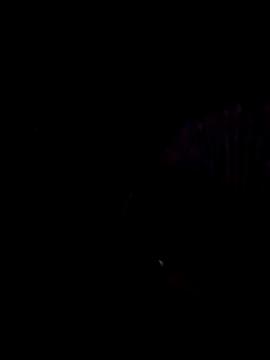 Snapshot of StaciGoodman chatting on 1, 2, 2025 StaciGoodman online show from 1, 2, 2025