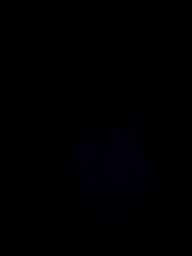 Snapshot of StaciGoodman chatting on 29, 12, 2024 StaciGoodman online show from 29, 12, 2024