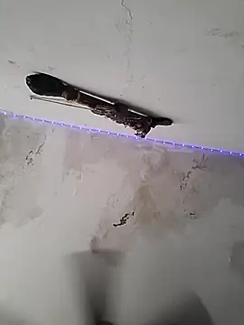 culitotragon24 online show from 17, 12, 2025