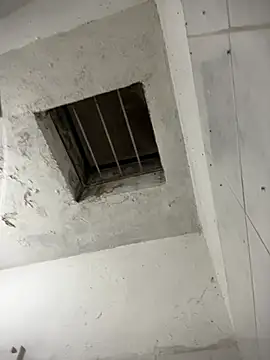 culitotragon24 online show from 11, 2, 2026