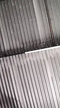 Snapshot of mendelicius chatting on 11, 2, 2026 mendelicius online show from 11, 2, 2026