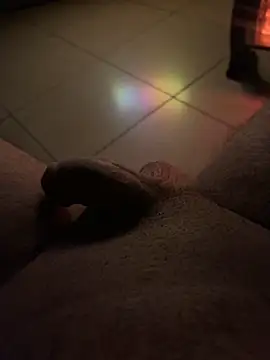 Antalyaburak online show from 14, 2, 2025