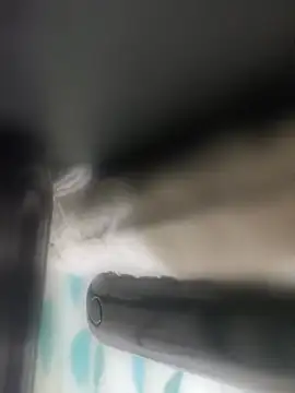 BigRastaFire online show from 26, 4, 2026