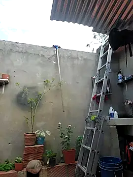 room 24funn online show from 19, 10, 2025