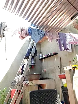 room 24funn online show from 15, 10, 2025