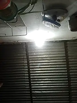 Andreita 95 online show from 12, 3, 2026