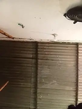 Andreita 95 online show from 15, 1, 2026