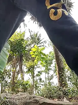 Snapshot of rayhan085 chatting on 19, 3, 2025 rayhan085 online show from 19, 3, 2025