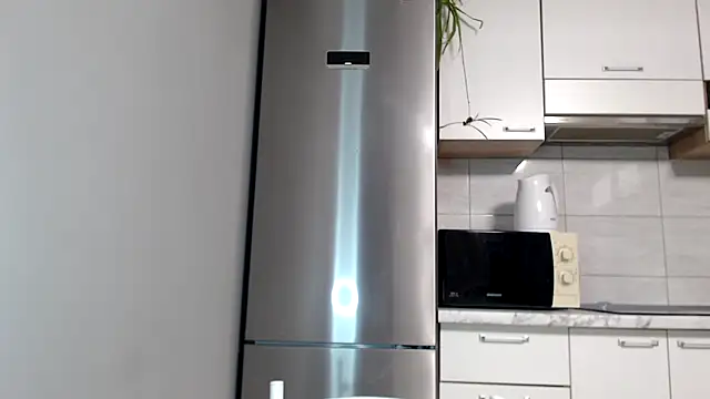 SierraSky  online show from 26, 3, 2026