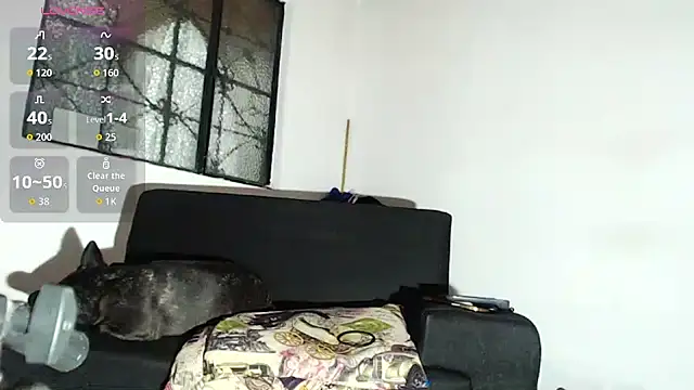 willian m777 online show from 6, 2, 2026