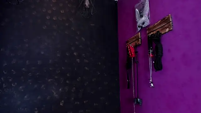 Snapshot of Alexa_Slave chatting on 16, 10, 2025 Alexa Slave online show from 16, 10, 2025