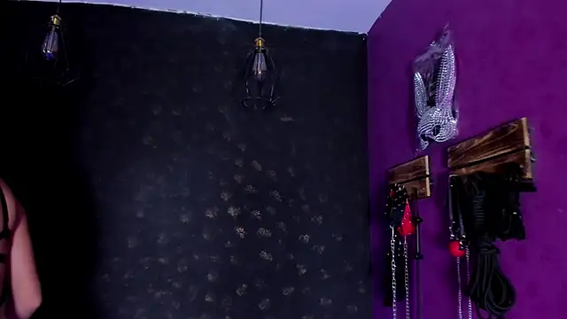 Snapshot of Alexa_Slave chatting on 17, 11, 2025 Alexa Slave online show from 17, 11, 2025