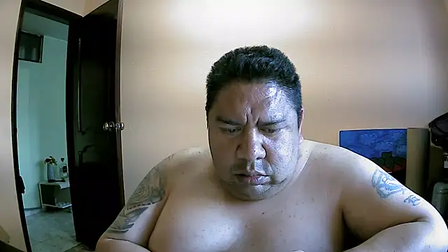 mateo-35audit online show from 17, 6, 2026