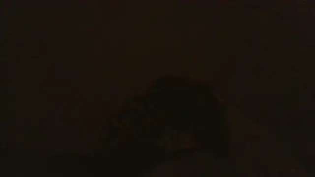 iaradias online show from 2, 12, 2025