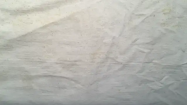 beforeyou69 online show from 6, 11, 2025