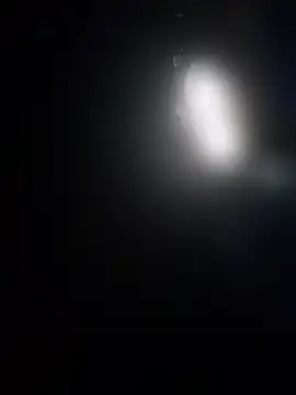 SashaahXXX online show from 19, 3, 2026